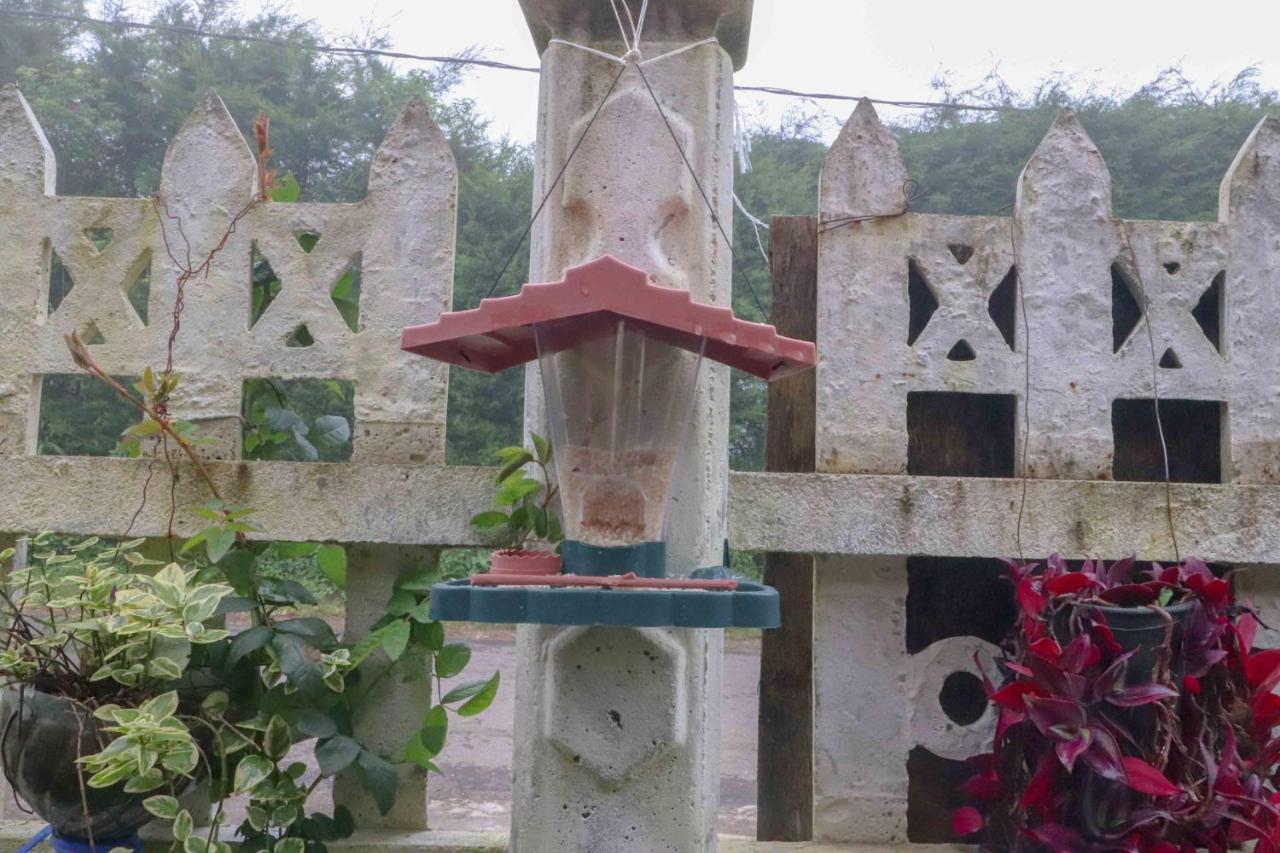 Paradise Cottage Νουβάρα Ελίγια Εξωτερικό φωτογραφία